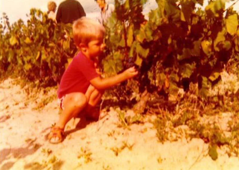 Le domaine — Le vigneron & son entourage